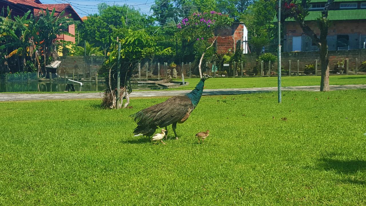 Pousada Pavao Branco Florianopolis Luaran gambar