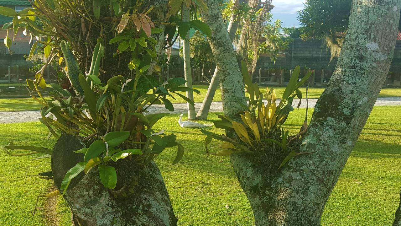 Pousada Pavao Branco Florianopolis Luaran gambar
