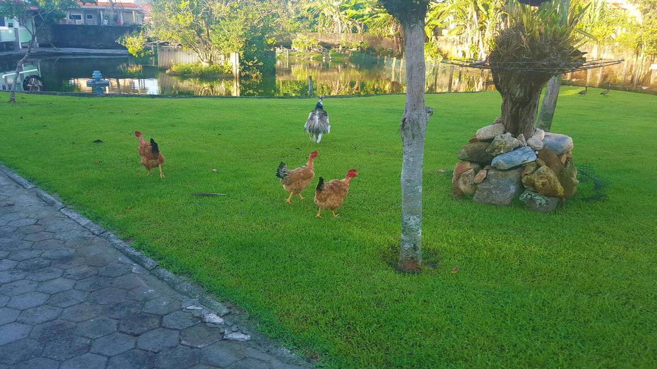 Pousada Pavao Branco Florianopolis Luaran gambar