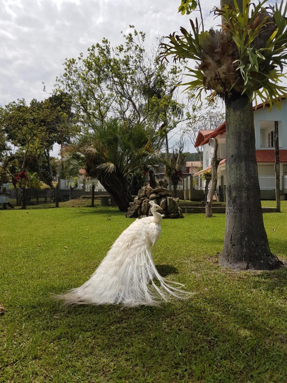 Pousada Pavao Branco Florianopolis Luaran gambar