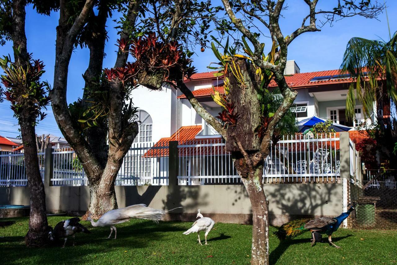 Pousada Pavao Branco Florianopolis Luaran gambar